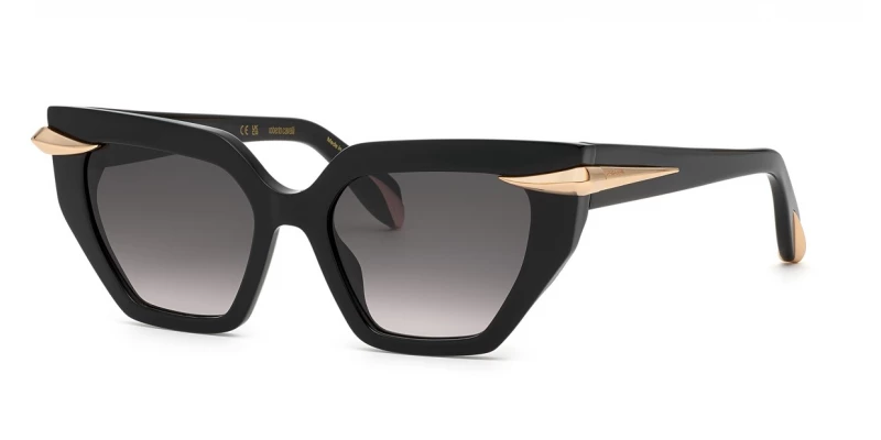 Roberto Cavalli RC001M 0700